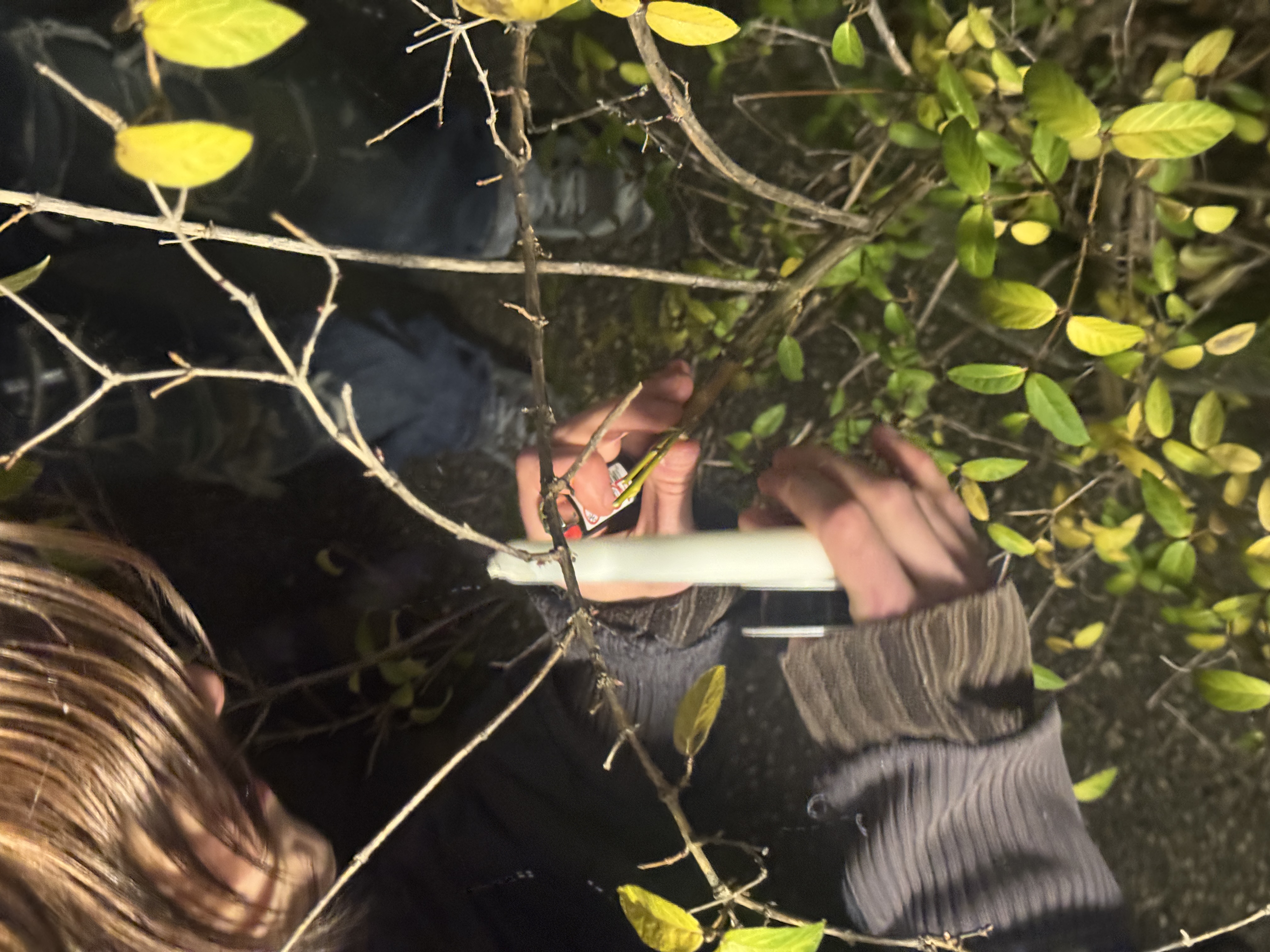 1   Mikrohandwerk Foto 6